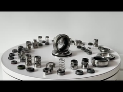 Mengganti Grundfos GLF-SPK-12mm SPK 2/4 AC Pump Mechanical Seal