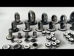 BT AR 301 Segel Mekanis Lari Kering Ujung Tunggal Pegas Baja Tahan Karat 12mm 14mm